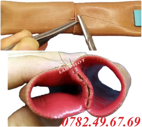 MÔ HÌNH THỰC HÀNH NỐI ĐOẠN RUỘT