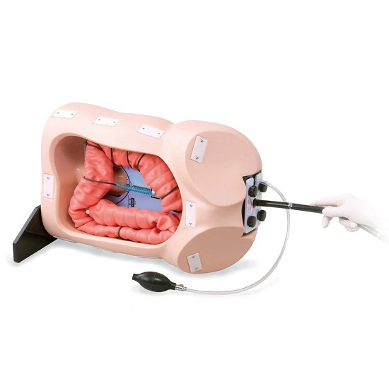MÔ HÌNH THỰC HÀNH NỘI SOI ĐẠI TRÀNG - COLONOSCOPE TRAINING MODEL
