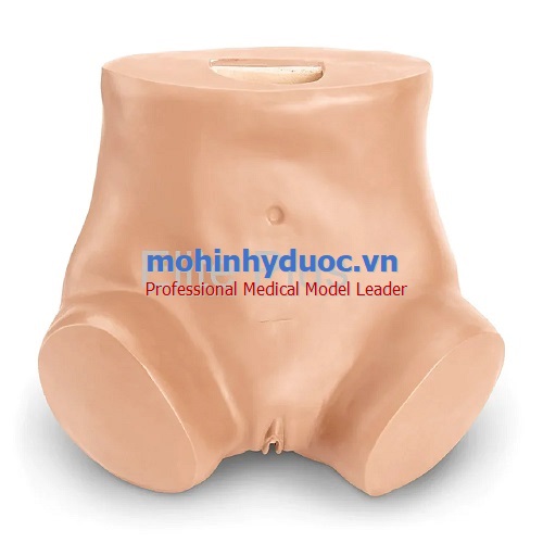 MÔ HÌNH THỰC HÀNH SOI CỔ TỬ CUNG SB28796 (L) NASCO - MỸ