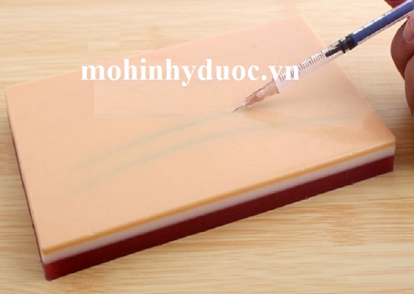 MÔ HÌNH THỰC HÀNH TIÊM TRUYỀN TĨNH MẠCH HH-DD-TTM