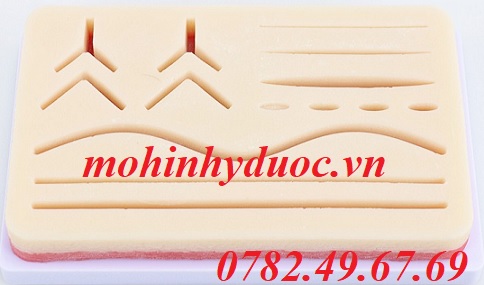 MÔ HÌNH THỰC HÀNH KHÂU VẾT THƯƠNG