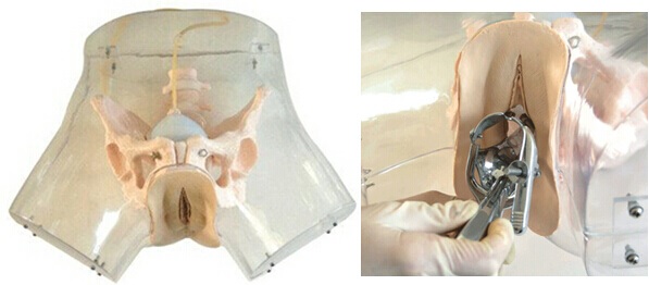 MÔ HÌNH THỰC HÀNH NẠO PHÁ THAI