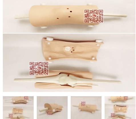 MÔ HÌNH THỰC HÀNH PHẪU THUẬT NỘI SOI KHỚP GỐI