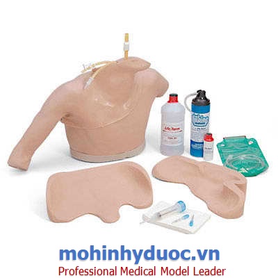 MÔ HÌNH TIÊM BẮP, TĨNH MẠCH CÁNH TAY (MÔ HÌNH TIÊM TĨNH MẠCH TRUNG TÂM) LF01012U - NASCO