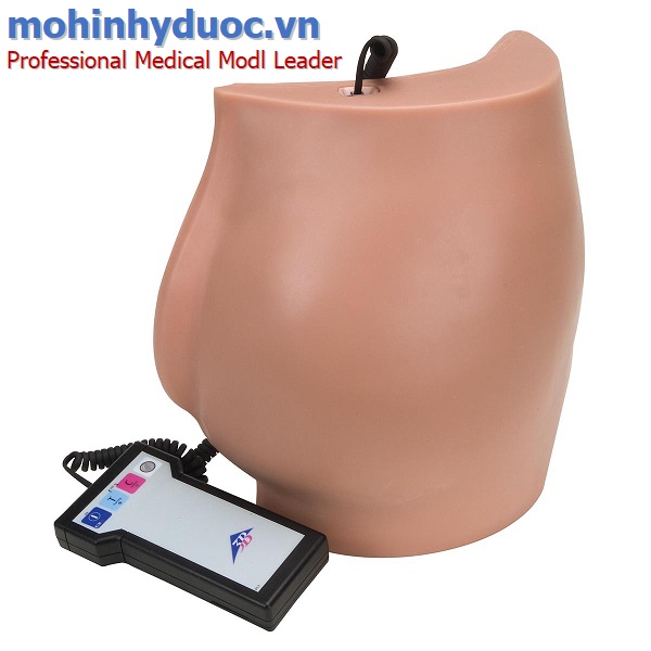 Bộ mô hình đào tạo tiêm bắp hoàn chỉnh