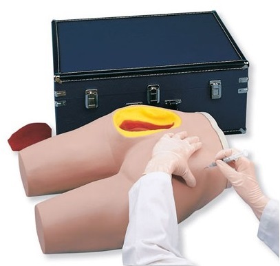 MÔ HÌNH TIÊM MÔNG NASCO LF00961U