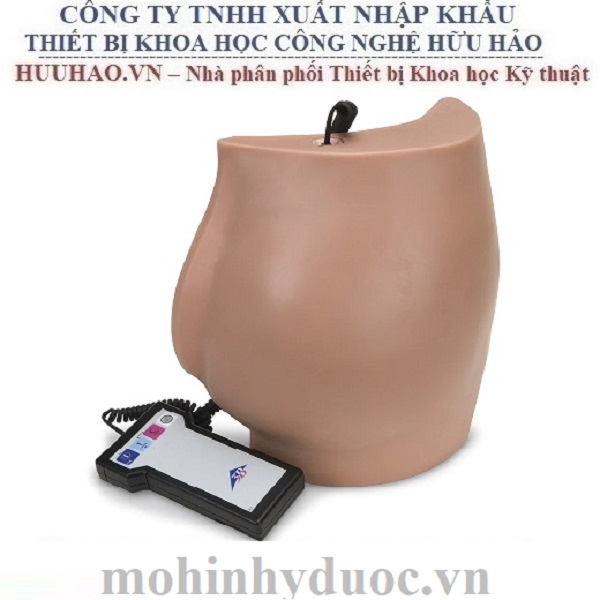 MÔ HÌNH TIÊM BẮP MÔNG SB50177 NASCO