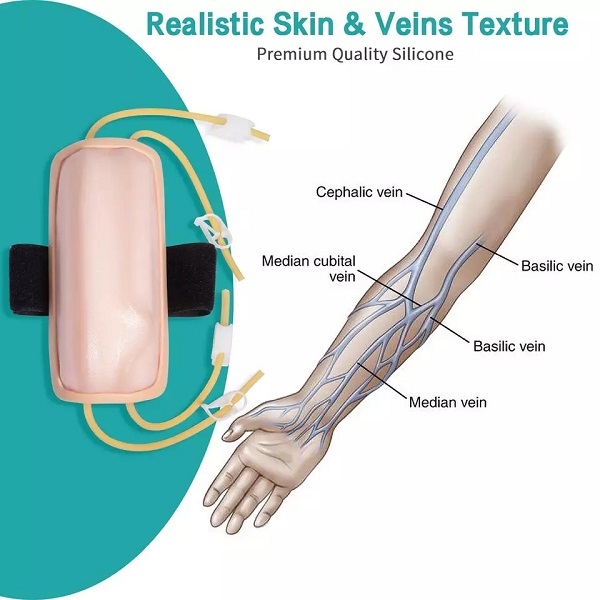 MÔ HÌNH THỰC HÀNH TIÊM TRUYỀN TĨNH MẠCH HH-TT-TM