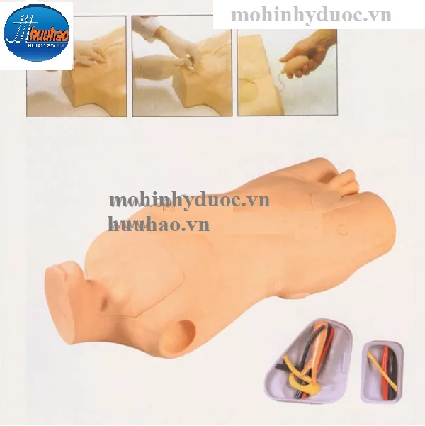 MÔ HÌNH TIÊM TRUYỀN TĨNH MẠCH CẢNH VÀ ĐÙI