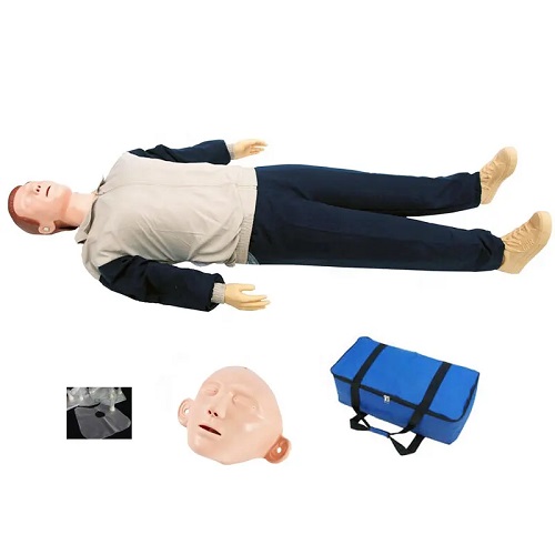 Người giả hô hấp nhân tạo loại cơ (Hình nộm toàn thân, 170cm) mô hình ép tim không mù sơ cấp cứu liên tục hoàn 170cm