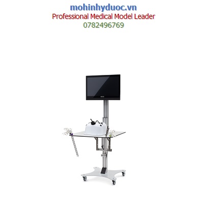 MÔ HÌNH TRẠM THỰC HÀNH KỸ NĂNG PHẪU THUẬT NỘI SOI LAPARO MEDICAL