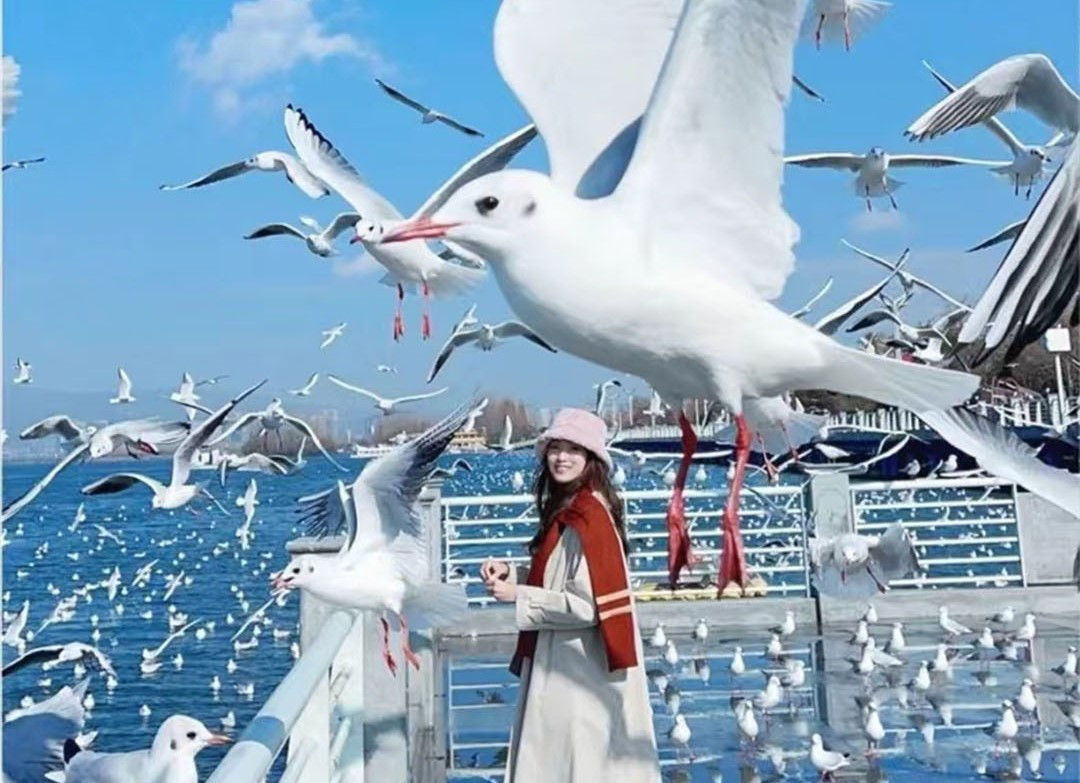 Hà Khẩu - Côn Minh - Đại Lý (4N4D) - Trung Quốc