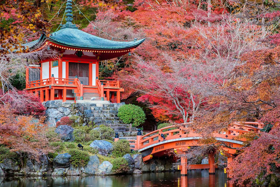 HÀ NỘI – TOKYO – PHÚ SĨ – HAKONE – KYOTO – OSAKA