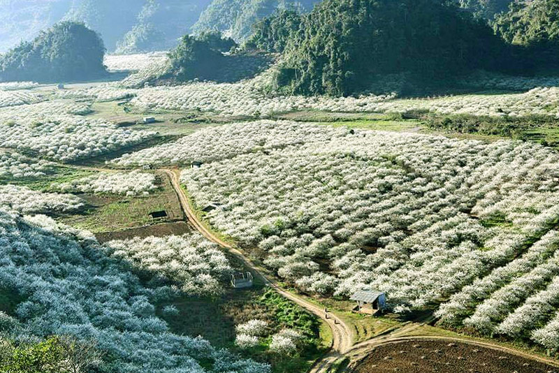 SÂN BAY NỘI BÀI – THỦY ĐIỆN HÒA BÌNH – CAO NGUYÊN MỘC CHÂU – SƠN LA – ĐIỆN BIÊN PHỦ - BẢN LÁC, MAI CHÂU