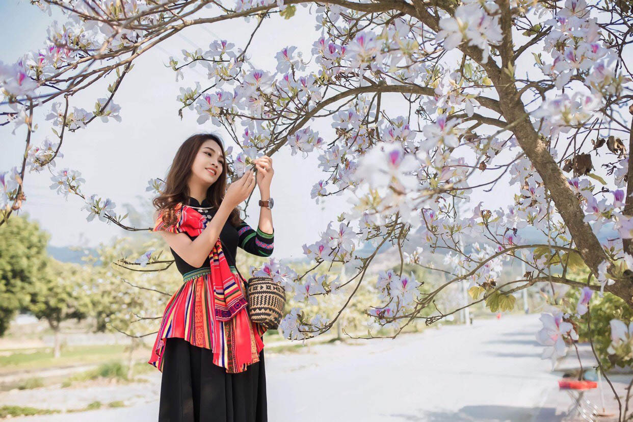 HÀ NỘI - SƠN LA - ĐIỆN BIÊN PHỦ - LỄ HỘI HOA BAN