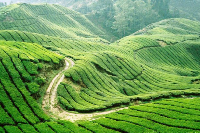 SÂN BAY NỘI BÀI – THỦY ĐIỆN HÒA BÌNH – CAO NGUYÊN MỘC CHÂU – SƠN LA – ĐIỆN BIÊN PHỦ - BẢN LÁC, MAI CHÂU