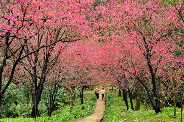 HÀ NỘI – CAO HÙNG – ĐÀI TRUNG - ĐÀI BẮC – HÀ NỘI