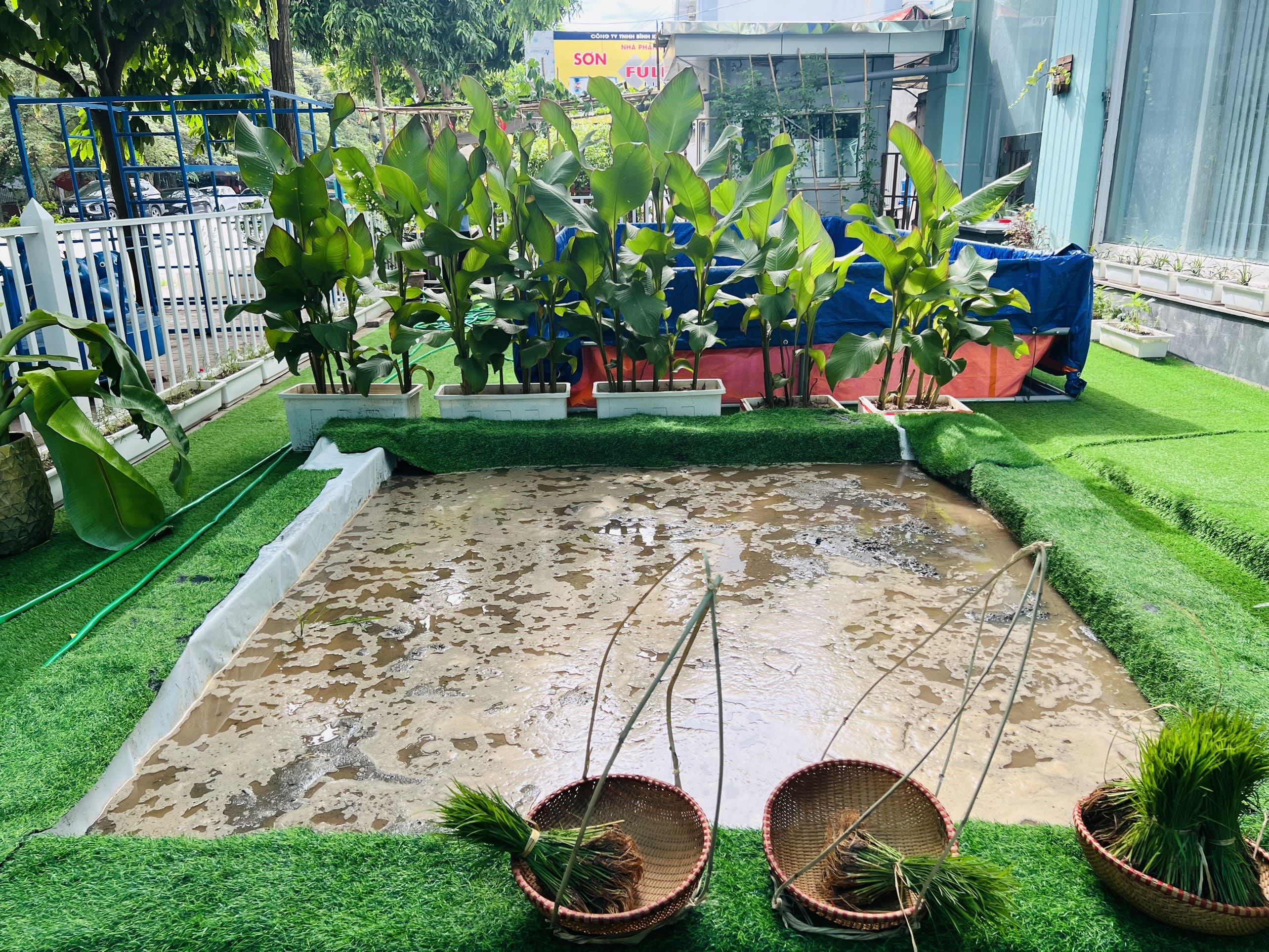 ❣️Chạm vào thiên nhiên tại trạm hè 2024 của Happy House ❣️