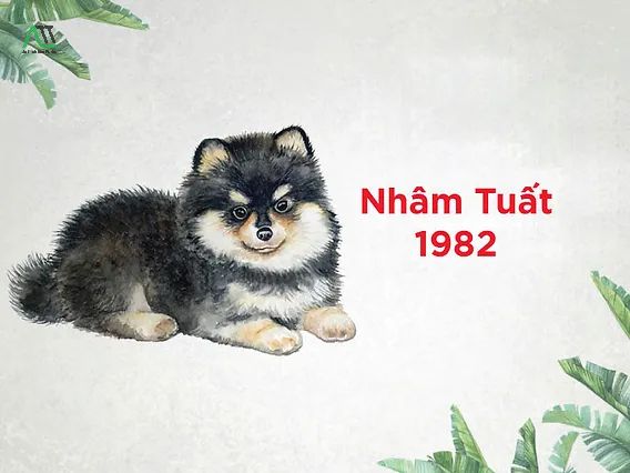 1982 hợp tuổi gì