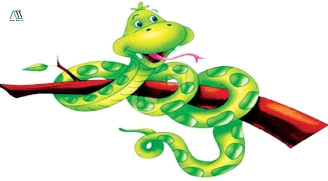 1989 hợp màu gì