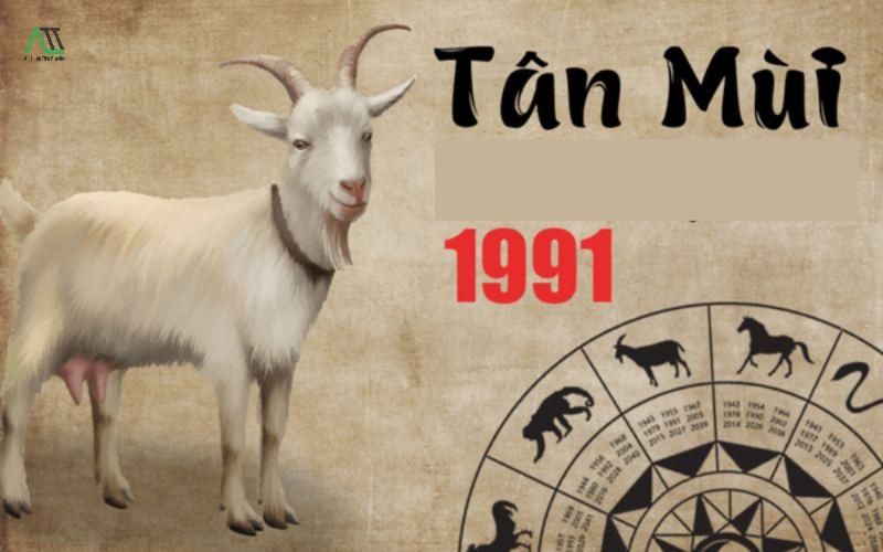 1991 hợp màu gì
