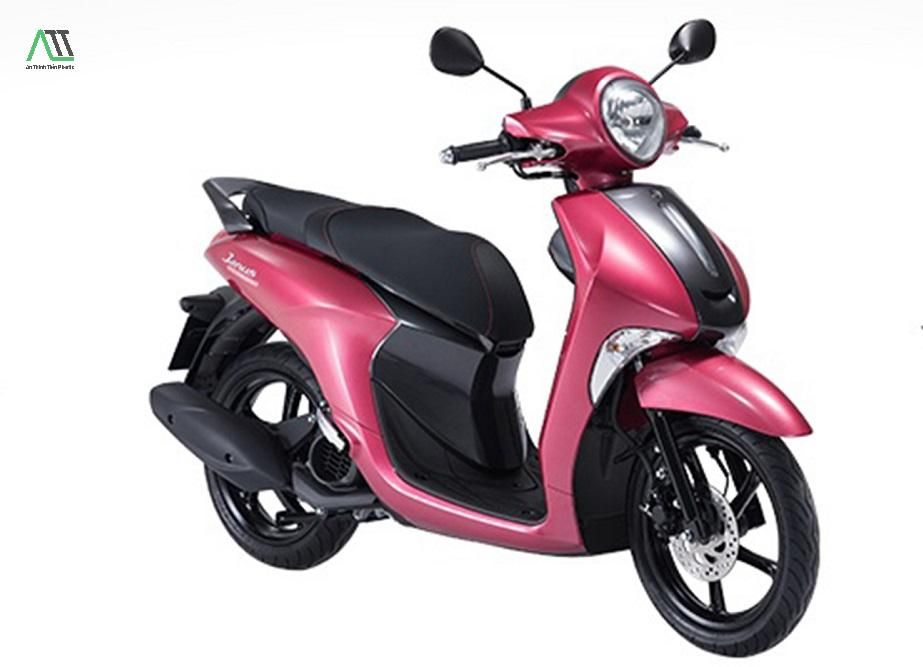 1991 hợp màu gì