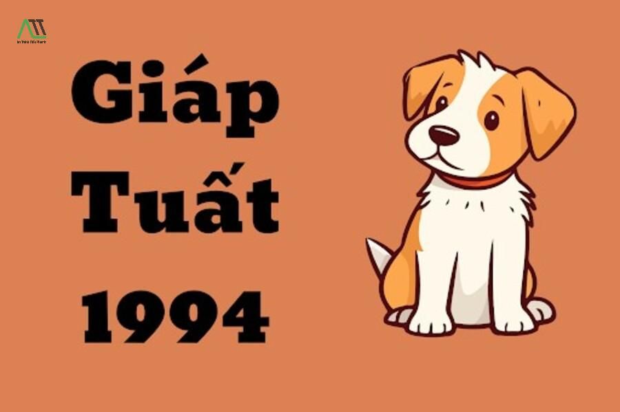 1994 hợp màu gì