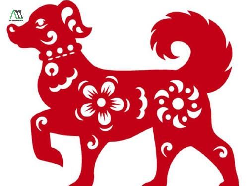1994 hợp màu gì