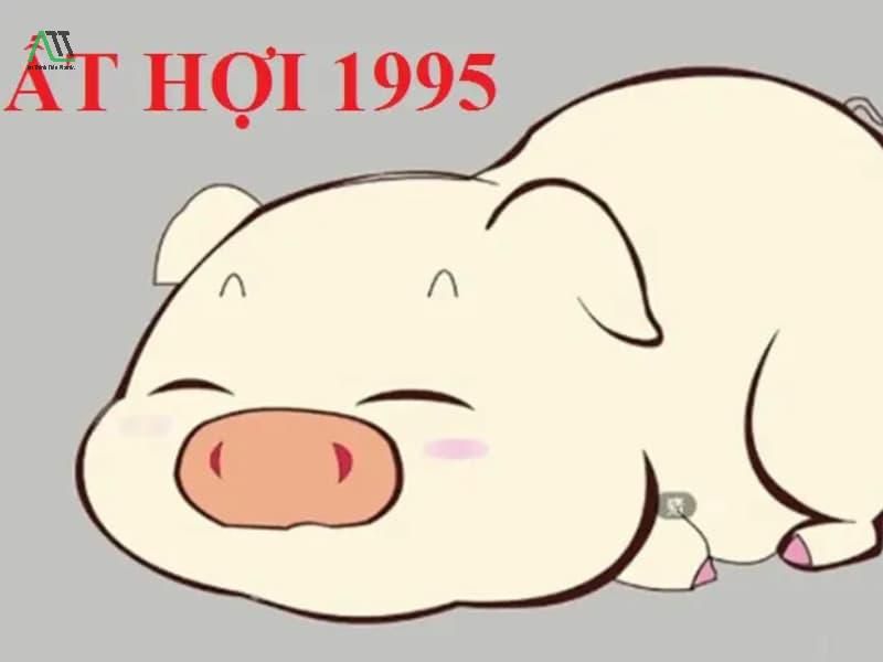 1995 hợp màu gì