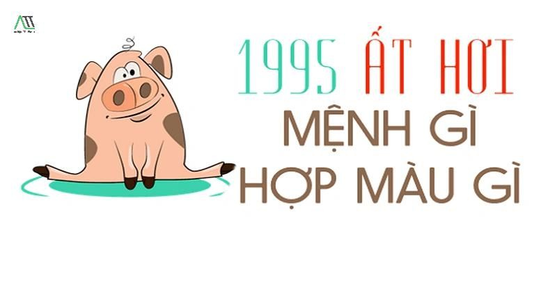 1995 hợp màu gì