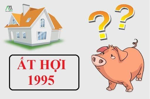 1995 hợp màu gì