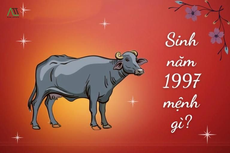 1997 hợp màu gì