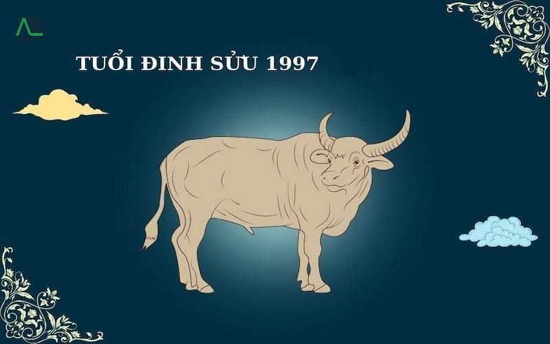 1997 hợp màu gì