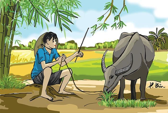 1997 hợp màu gì