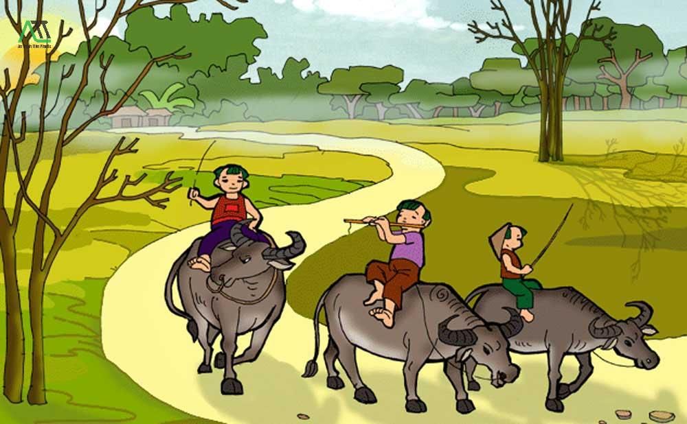 1997 hợp màu gì