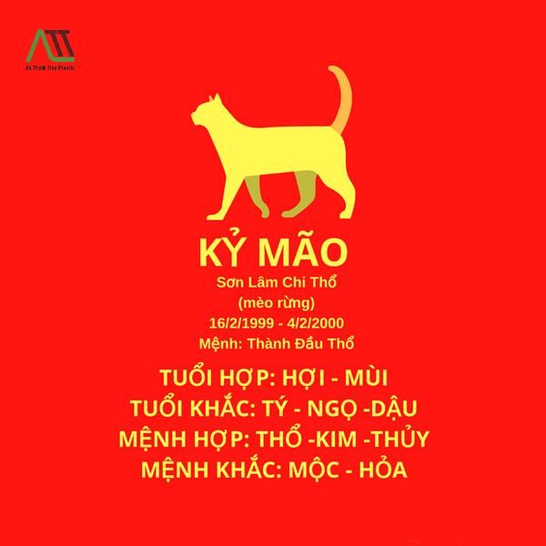 1999 hợp màu gì