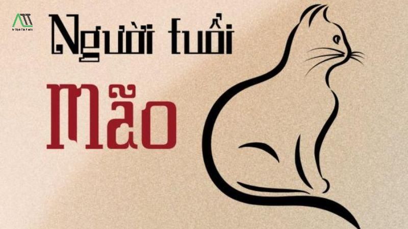 1999 hợp màu gì