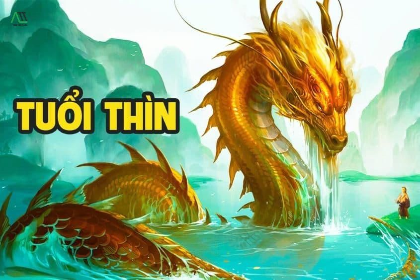 2000 hợp màu gì