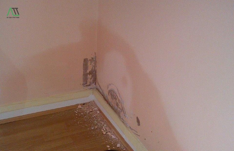 Cách xử lý tường bị bong tróc