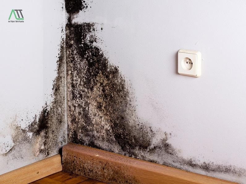 Cách xử lý tường bị bong tróc