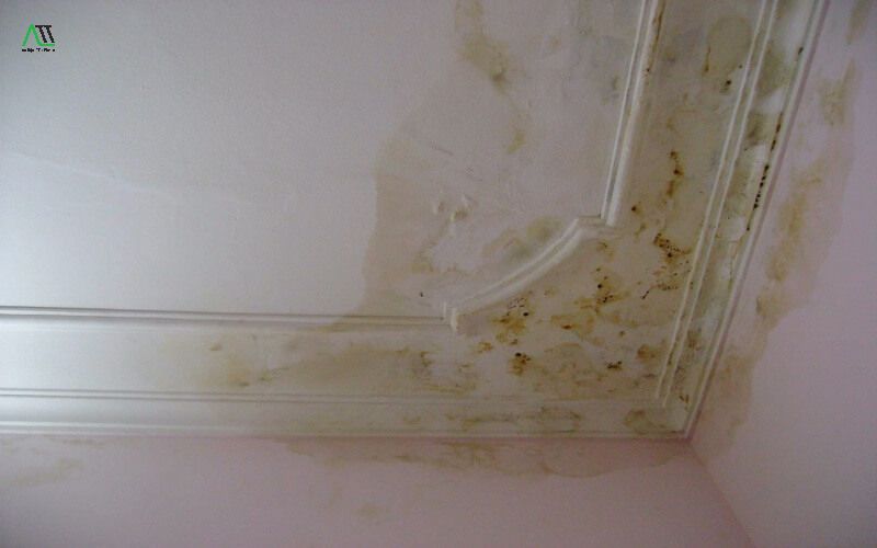 Cách xử lý tường bị ngấm nước