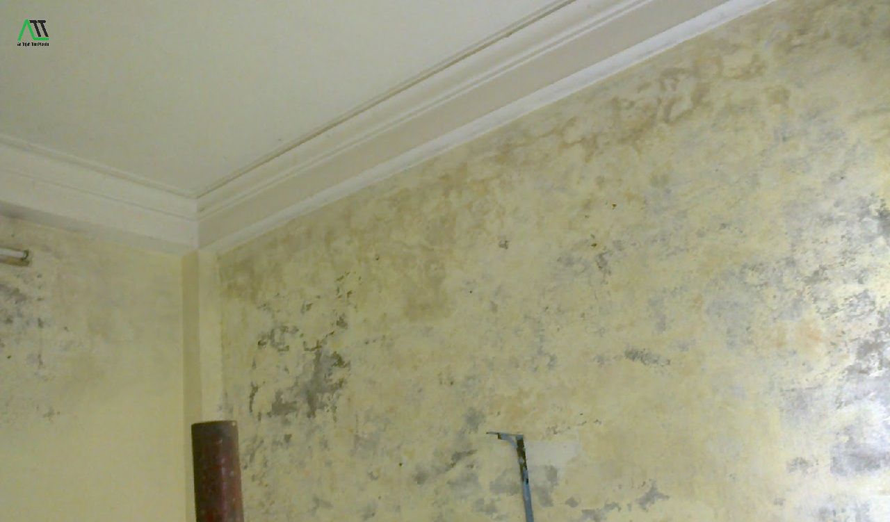  Nguyên nhân tường nhà bị ngấm nước, bong tróc 