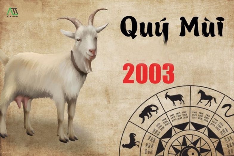 con dê là tuổi gì