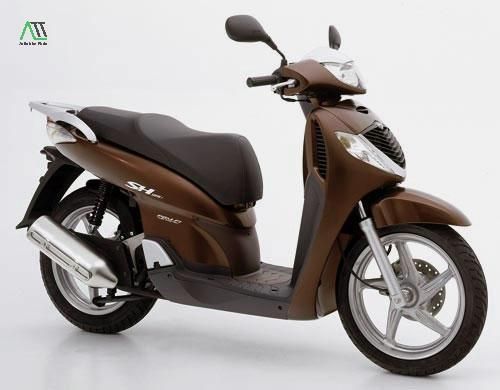 1992 hợp màu gì