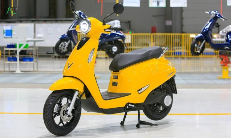 1998 hợp màu gì