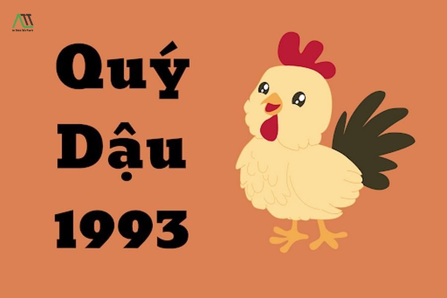 1993 hợp màu gì