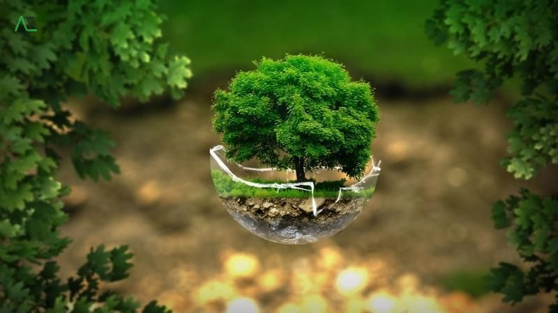 ý nghĩa của màu xanh lá cây