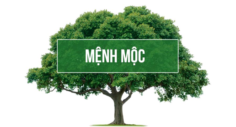 Mệnh Mộc hợp với màu gì?
