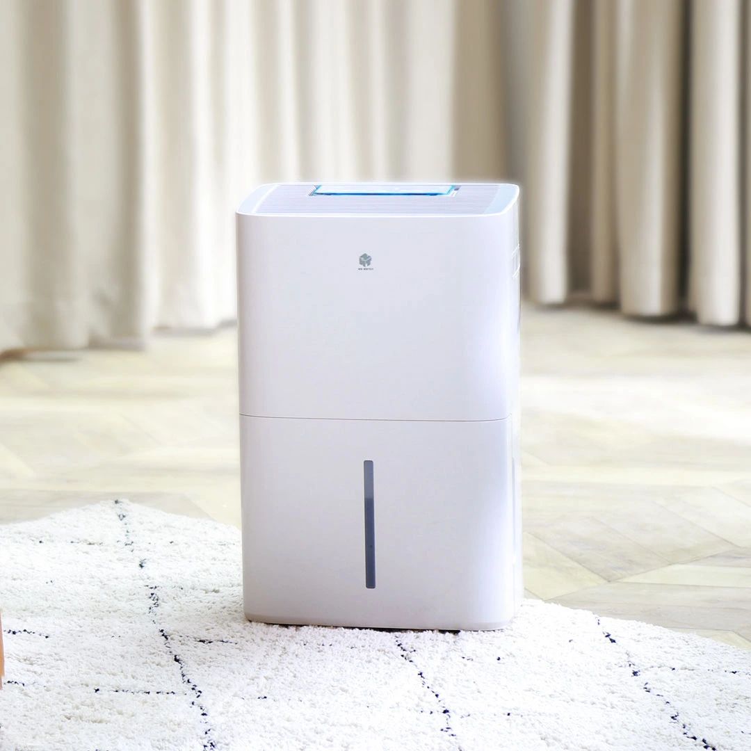phào chỉ bị ẩm mốc