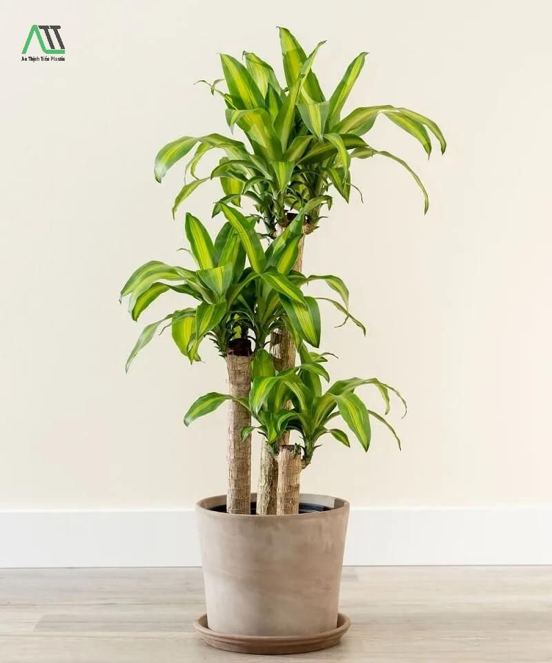 phong thủy nhà ở cho người mệnh hỏa